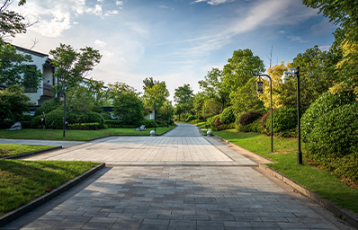 Landscaped Garden Area